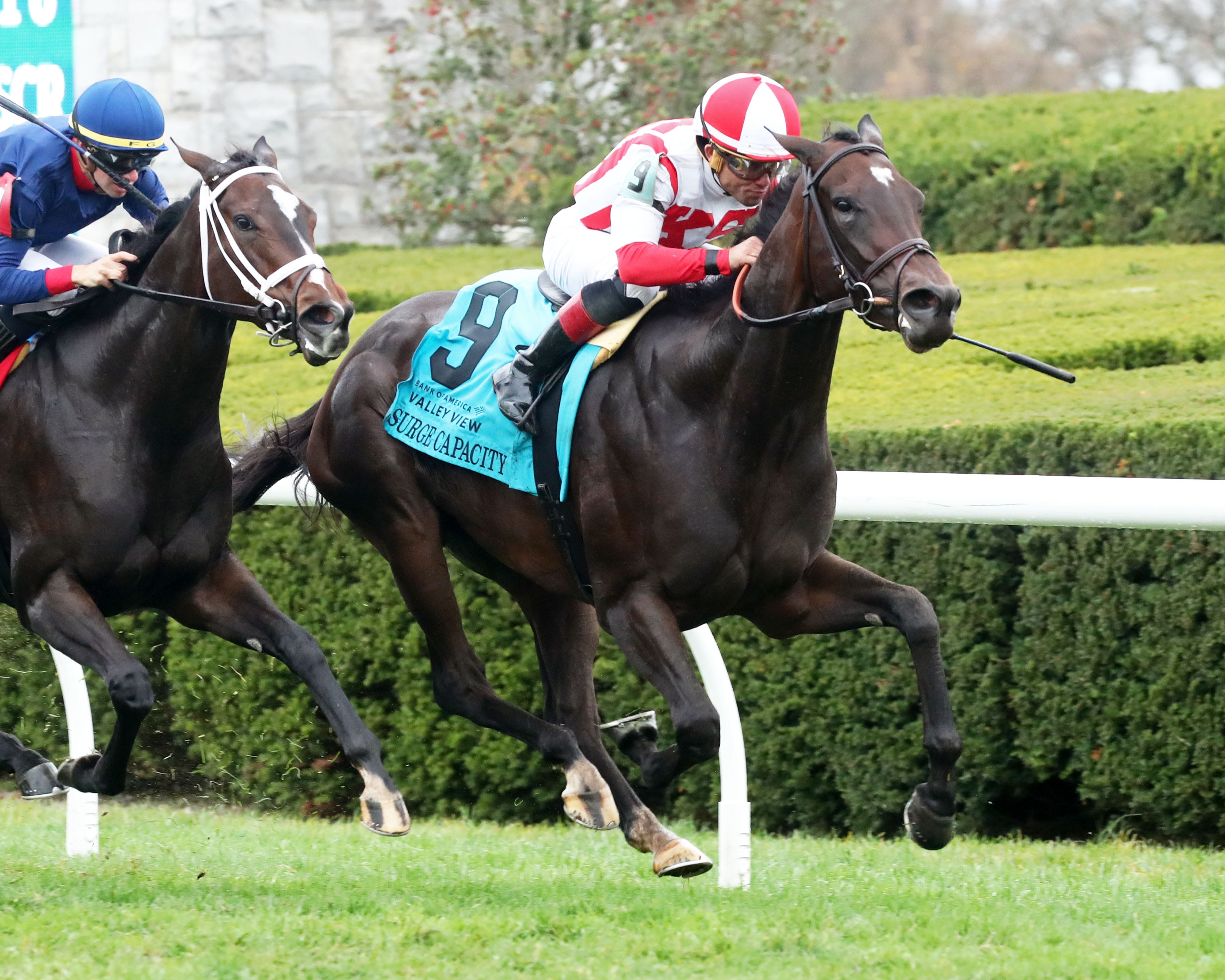 The Mechanics of Surge Capacity Air India’s International Network Expansion